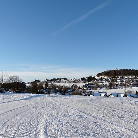 Landfein Big Country House Winterberg Eksteriør billede